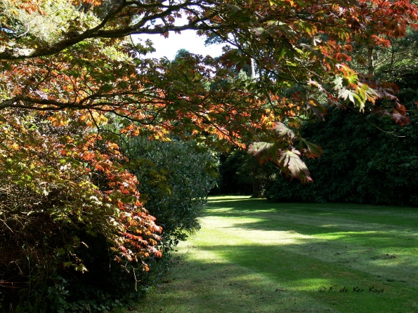 Bois des Moutiers  (50) Summer 2012